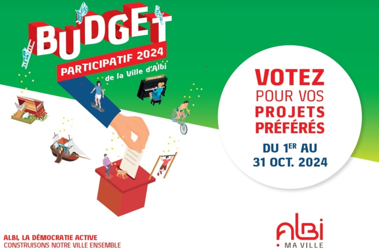 budget_P_Vote